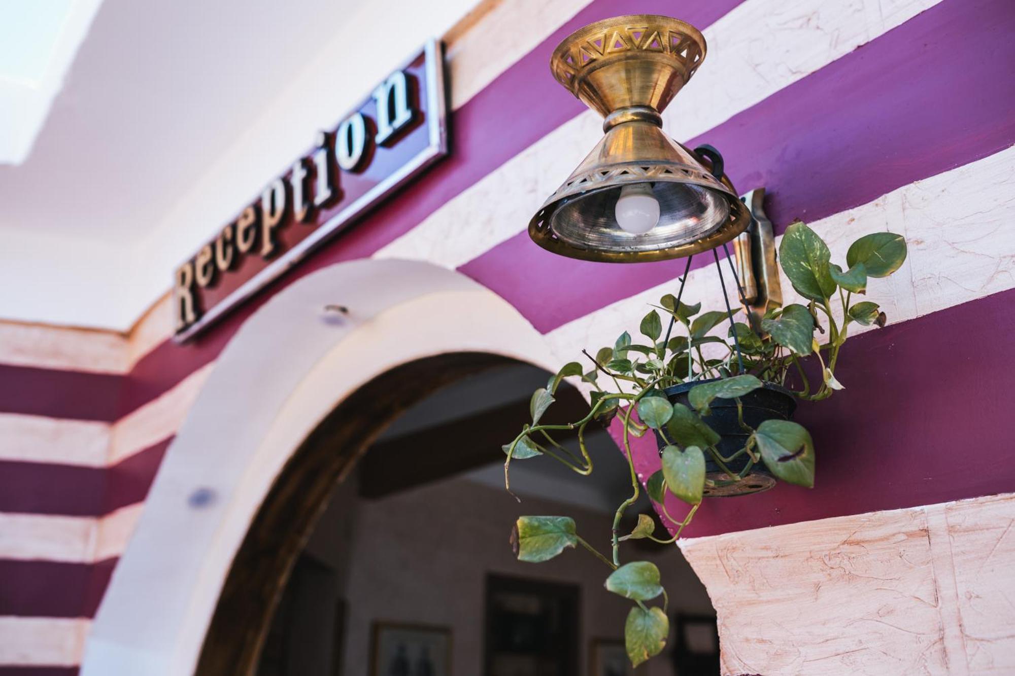 Tuya Hotel Abu Simbel Eksteriør bilde